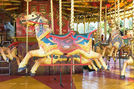 Spooner horse Milenko